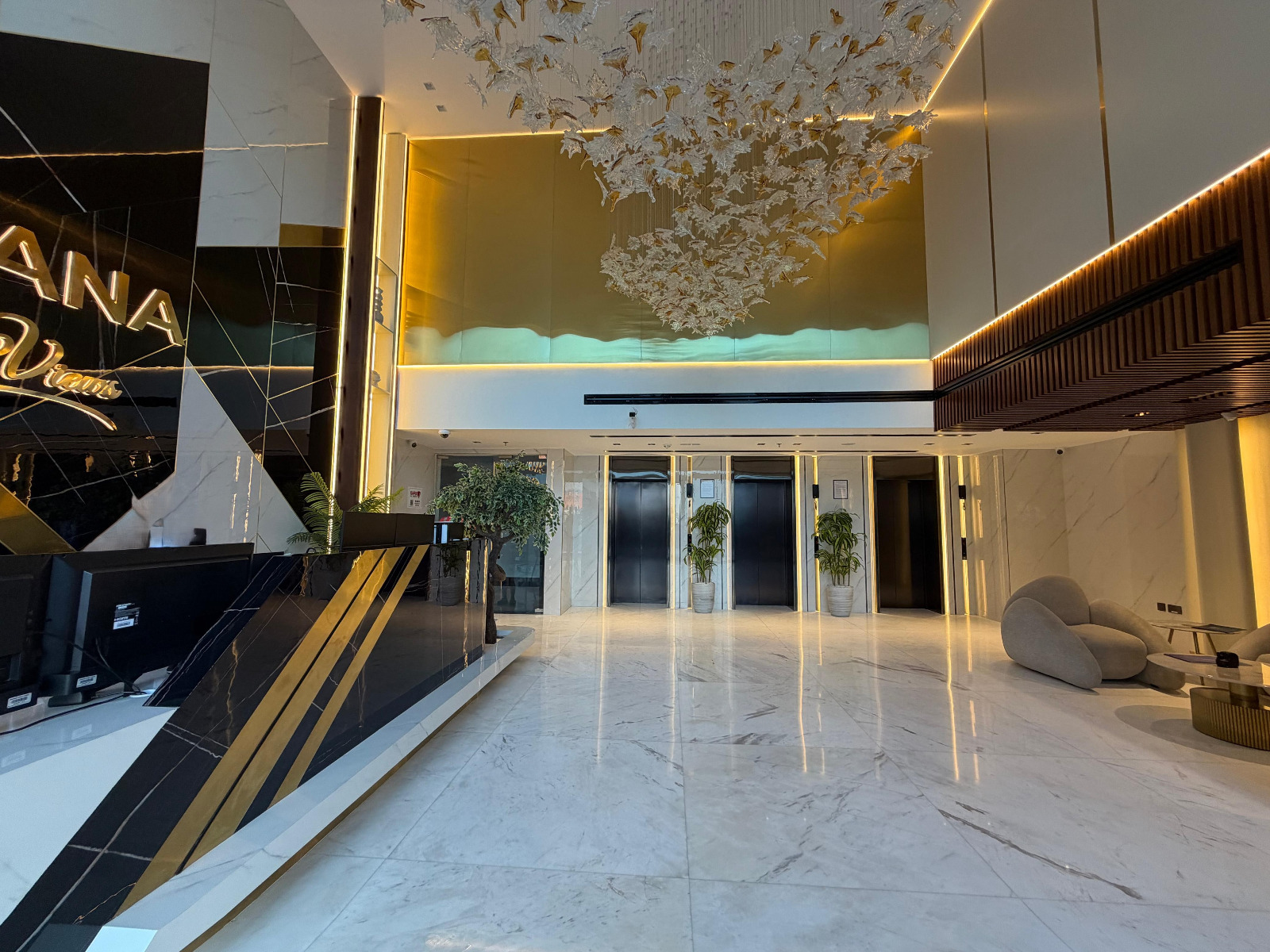 WhatsApp Image 2025-10-24 at 15.20.24 (1)